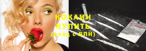 дживик Карпинск