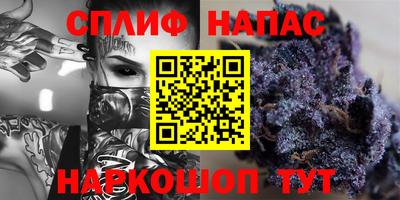 кокс Донской