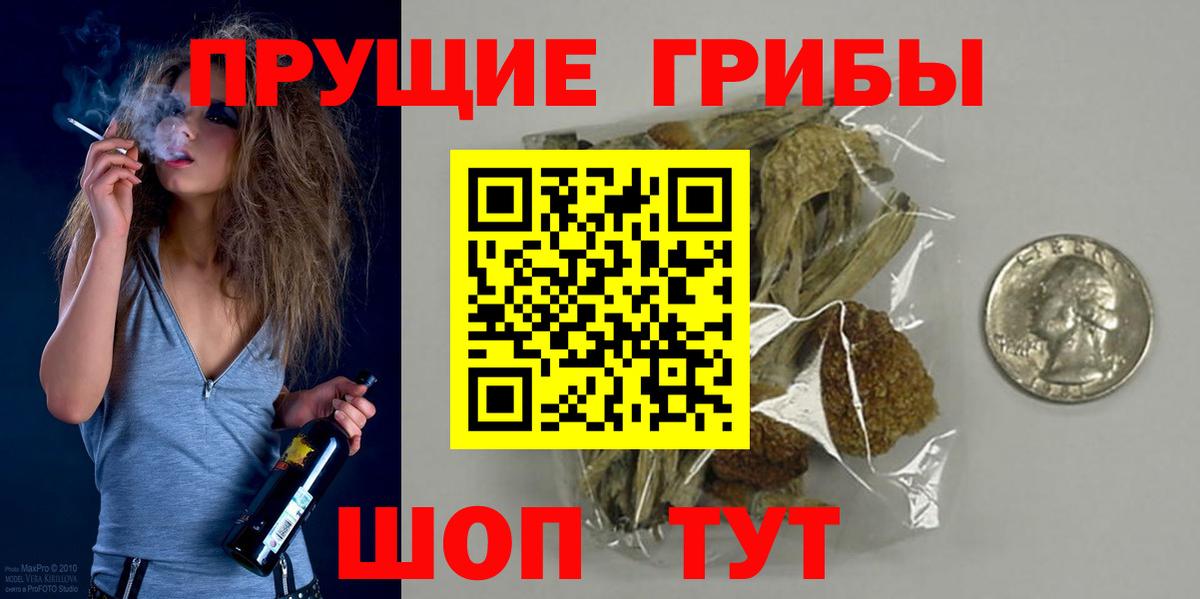 Псилоцибиновые грибы прущие грибы Новошахтинск