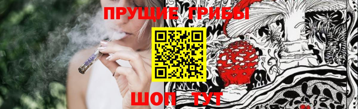 Галлюциногенные грибы GOLDEN TEACHER  Вход с VPN  что такое наркотик  Новошахтинск 